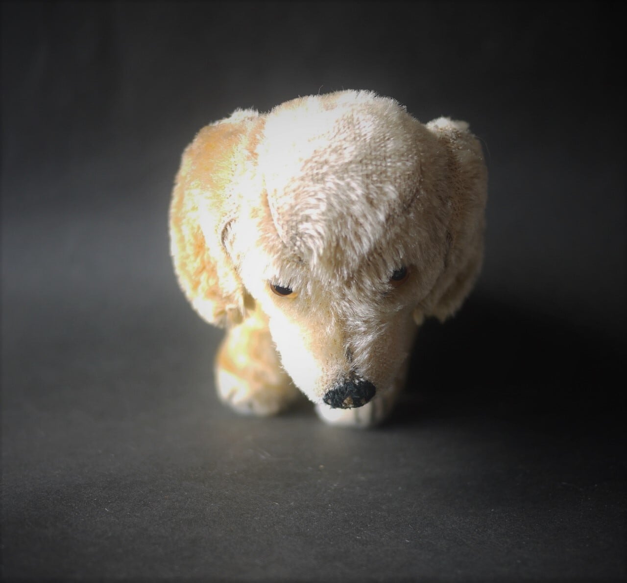 シュタイフ Bazi ダックスフント ドイツ STEIFF | こりすのパン屋Base