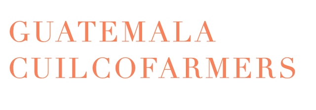 グアテマラ クイルコファーマーズ 180g
