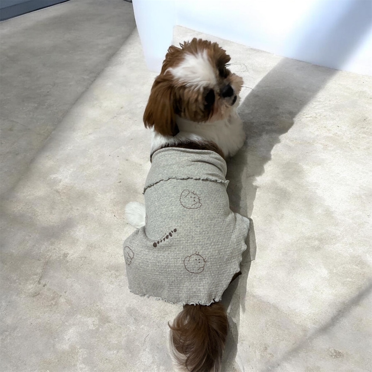 sumi.lab 極薄犬用腹巻【小型犬の冷え対策に】