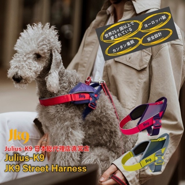 【日本総代理店直営店】【Julius-K9】【メッシュタイプ】ユリウスケーナイン・ストリートハーネス 　中型犬サイズ