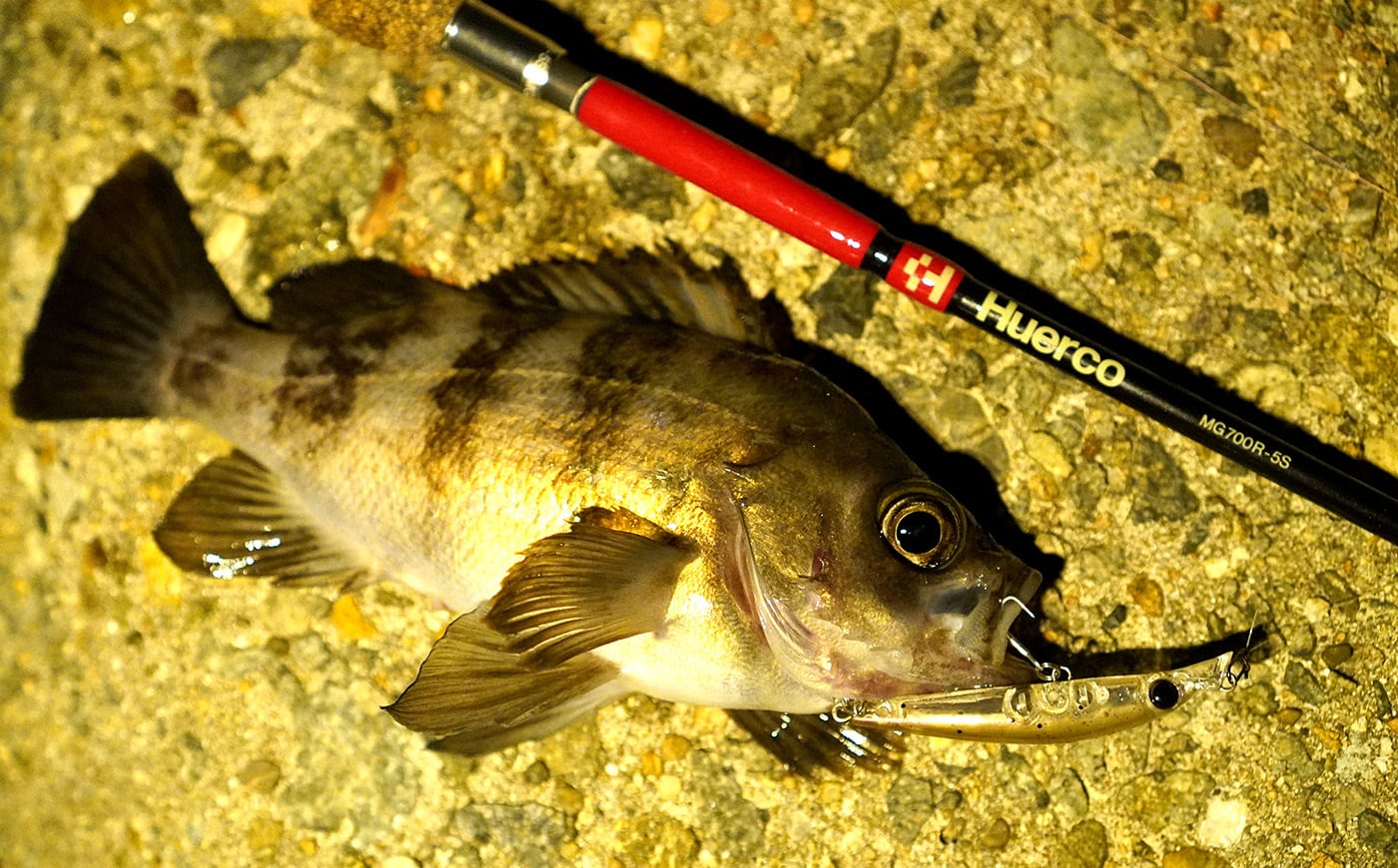 huerco フエルコ MG700-5s MG700R-5S | Huerco フエルコ公式オンラインパーツストア