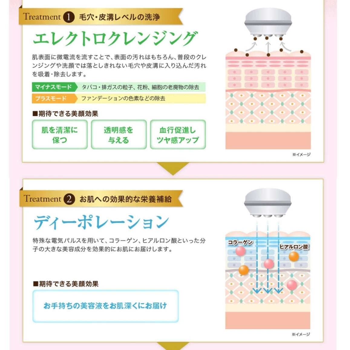 CELL CURE（セルキュア）4T++ / BELEGA beauty&cosmetics（ベレガ