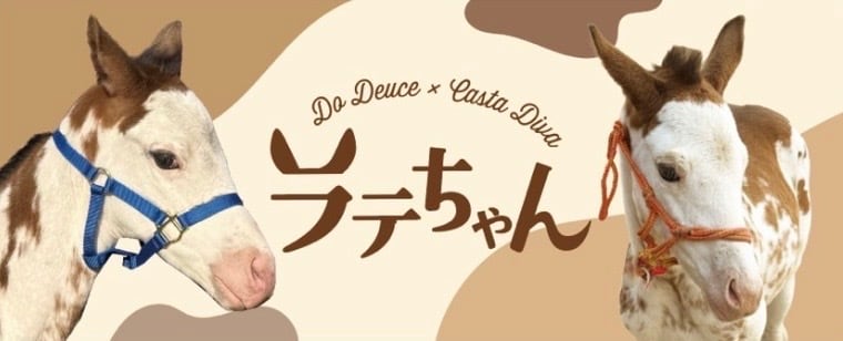 【再販】ラテ オリジナルタオル