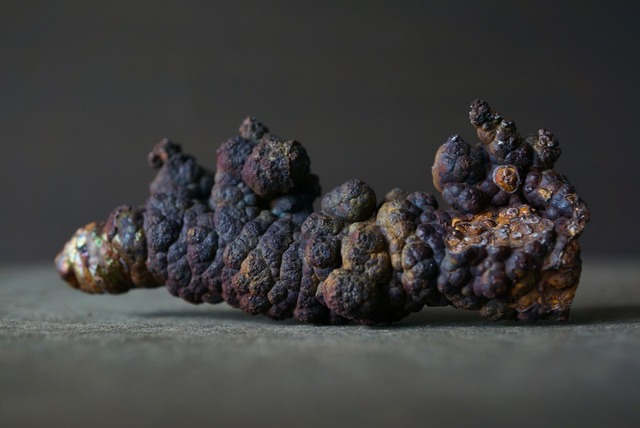 リモナイト Goethite var. Limonite 1554