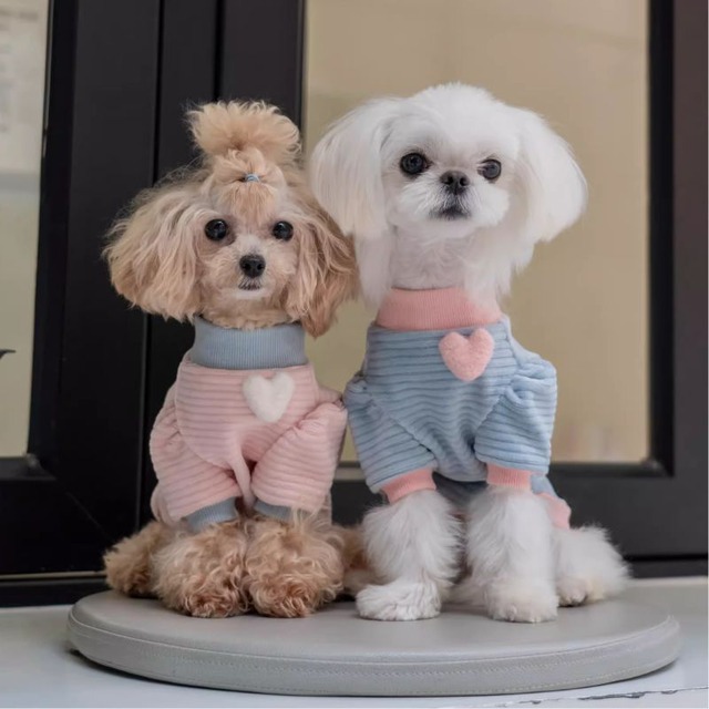 もこもこハートトップス　犬服　00339【予約】