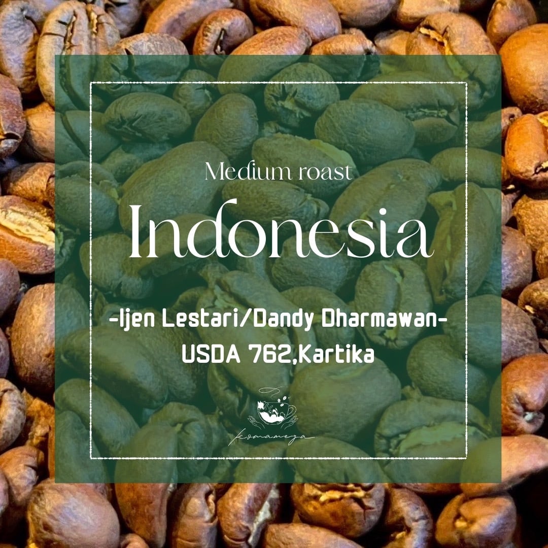 【インドネシア】IJEN Carbonic Maceration Washed｜Medium Roast