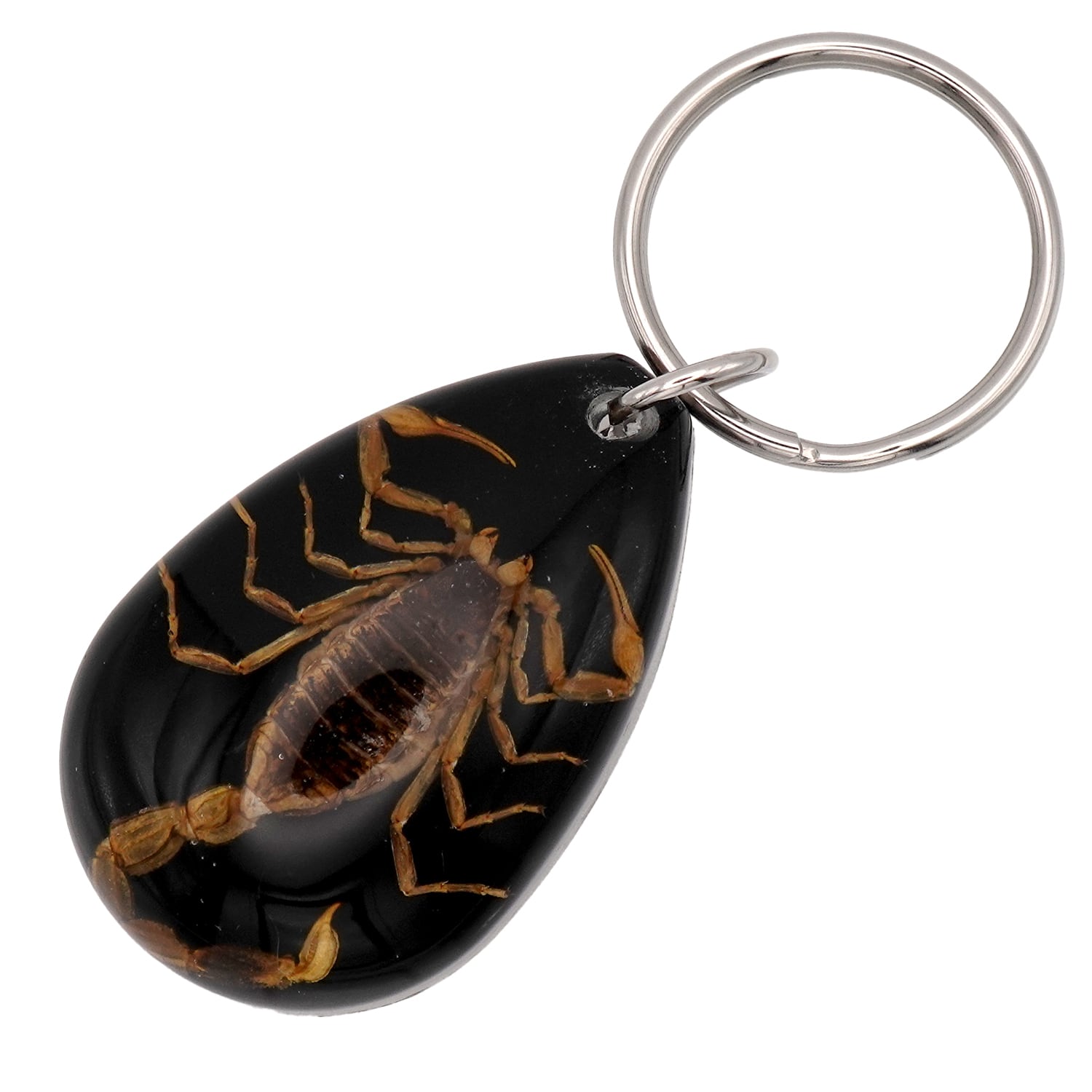 USA ARIZONA SCORPION DROP KEYCHAIN 蠍 サソリ スコーピオン お守り