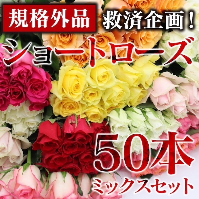 〈規格外品☆救済企画〉ショート☆ローズ 50本 mixセット★市場に出ないショート丈★フラワーロス支援