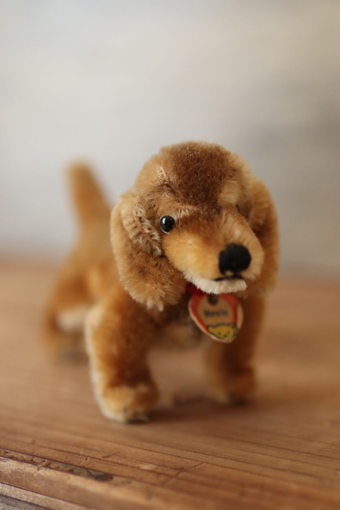 Steiffシュタイフ犬 アンティーク Www Mayfloweracademy Org