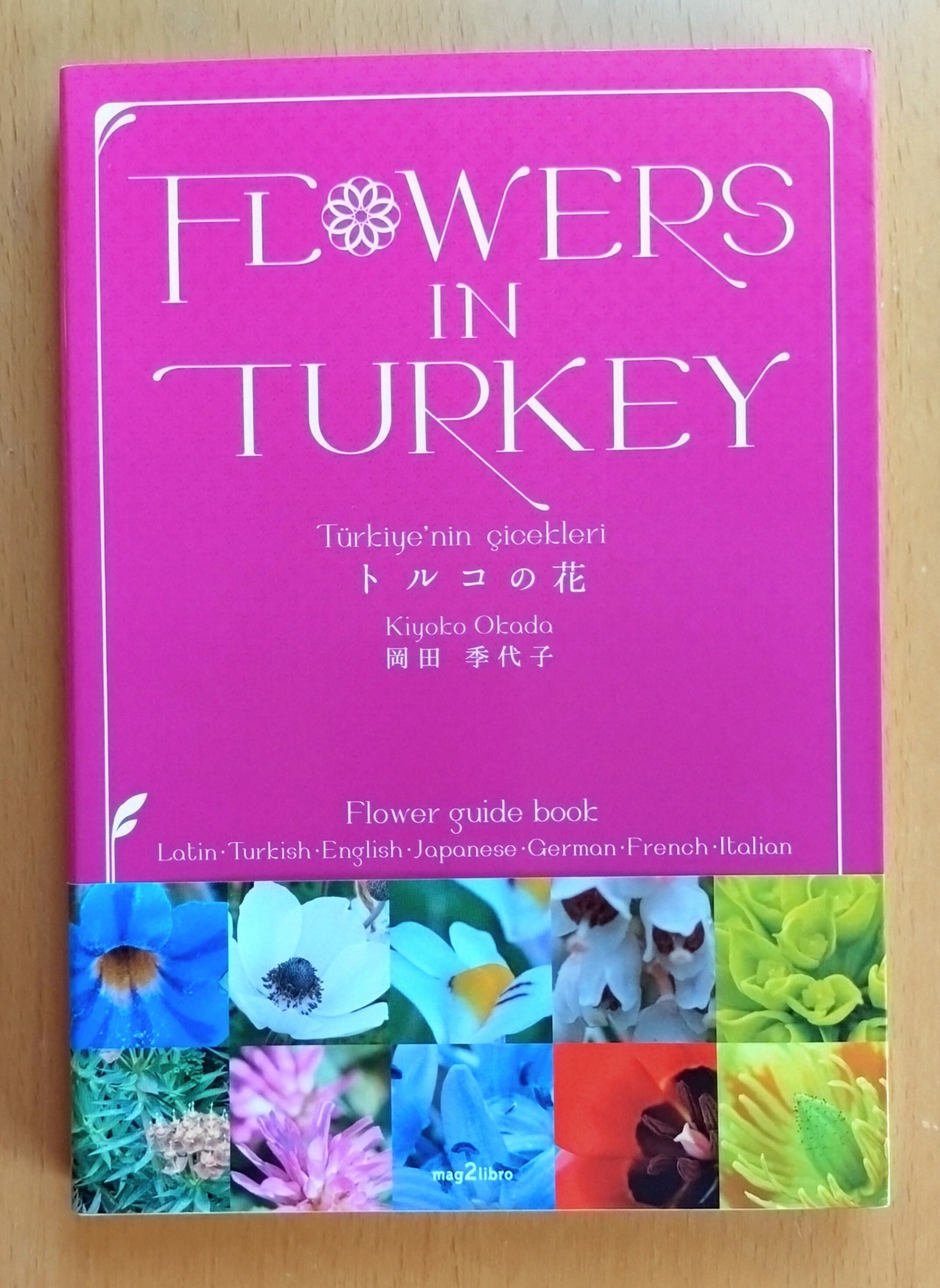 新品 トルコ語 - オスマントルコ語 - 英語辞典 Redhouse トルコ語-英語辞典 Redhouse 新品 トルコ語 - オスマントルコ語 - 英語