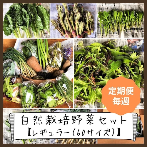 信州産 自然栽培『お一人様☆定期便』毎週発送 60サイズ（農薬、肥料不使用）