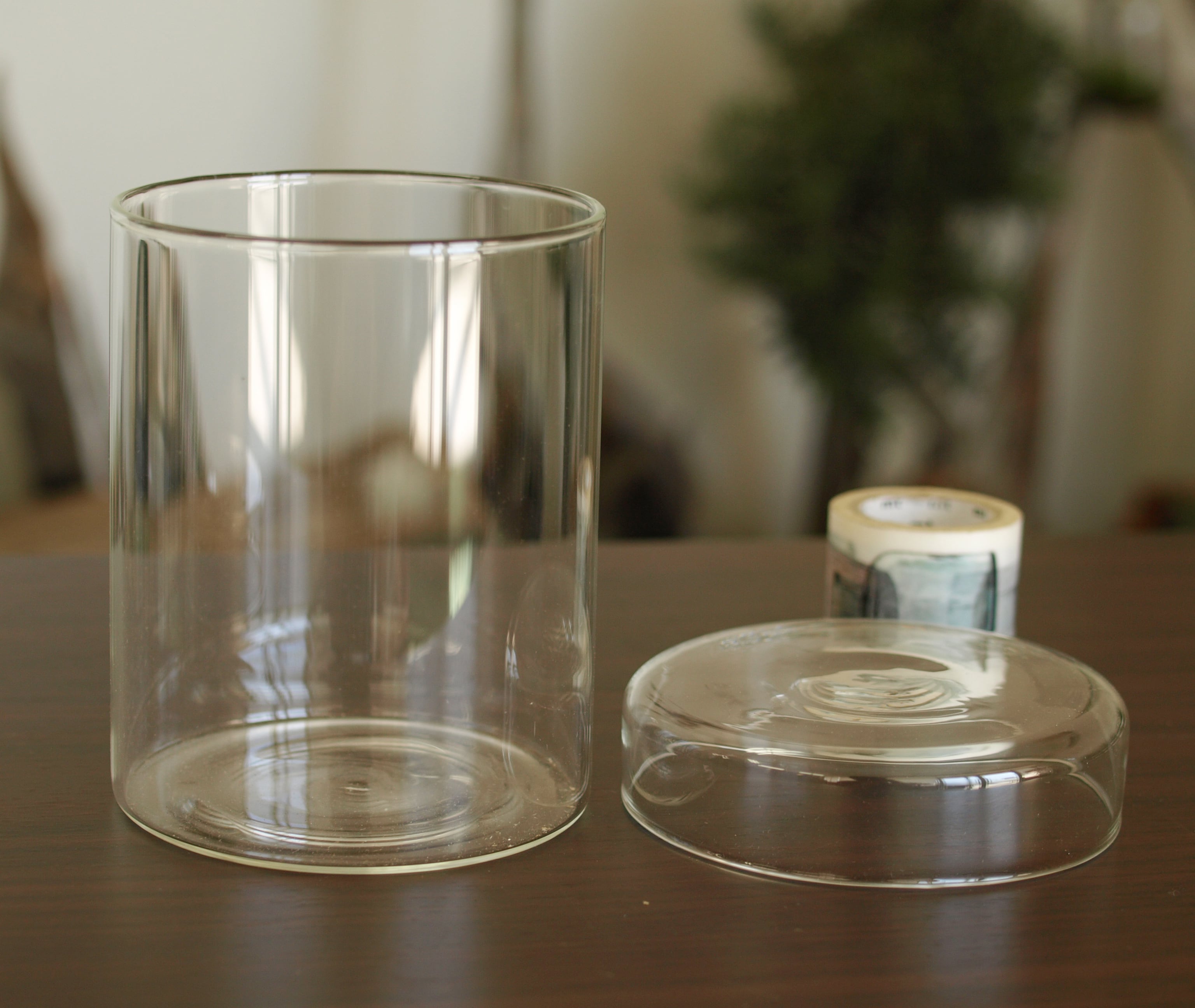 ガラス容器】シリンダーL（直径103xh123mm）◇高さのあるコケの