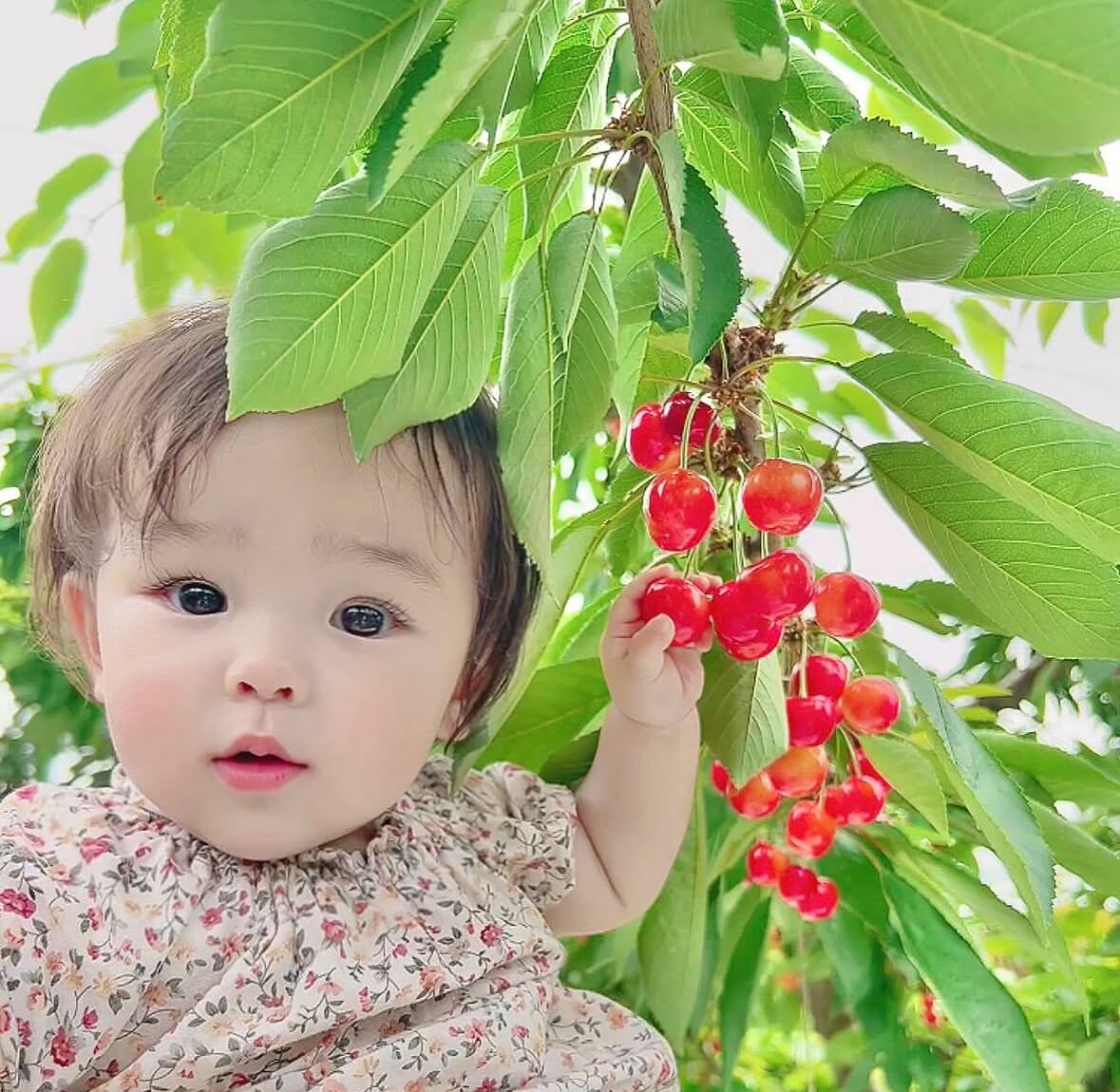 CocoRo♡farm
