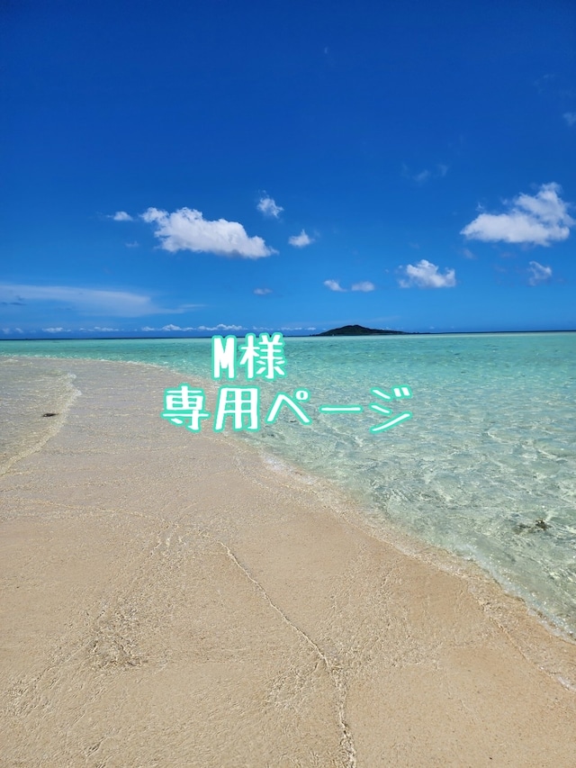 M様専用ページ