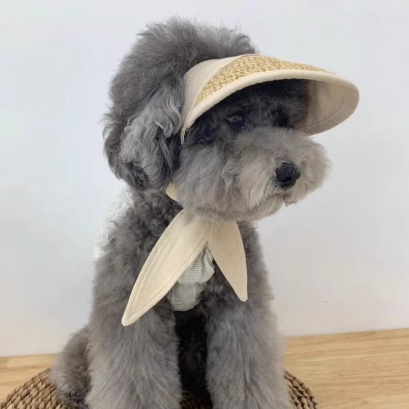 キャット 猫 ドッグ 犬 小型犬 帽子 サンバイザー 切り替え かわいい きれいめ シンプル カジュアル 上品 おしゃれ レトロ エキゾチック 主役級 存在感 ラブリー キュート 都会的 シンプル 無地 春 夏 男の子 女の子 成犬 スクール デート お出かけ アウトドア キャンプ パーティー イベント 公園 休日 バカンス カフェ 朝 散歩 ウォーキング 室内 普段使い トレンド 流行 インスタ映え 定番 S M L XL 黒 ブラック カーキ