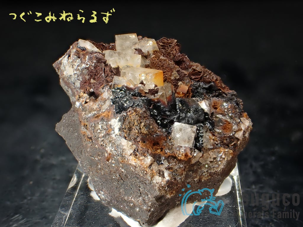 フローライト 蛍石 Fluorite イギリス TM-0008