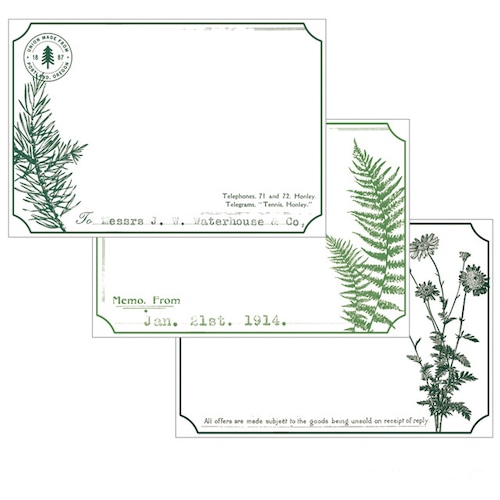 硫酸紙　メッセージカード　植物