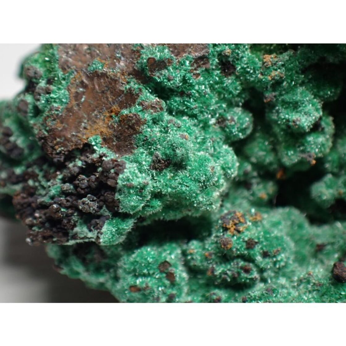 メキシコ産 ブロシャンタイト(ブロシャン銅鉱)/Brochantite 原石 A 