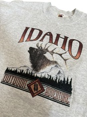 90's フルーツオブザルーム IDAHO