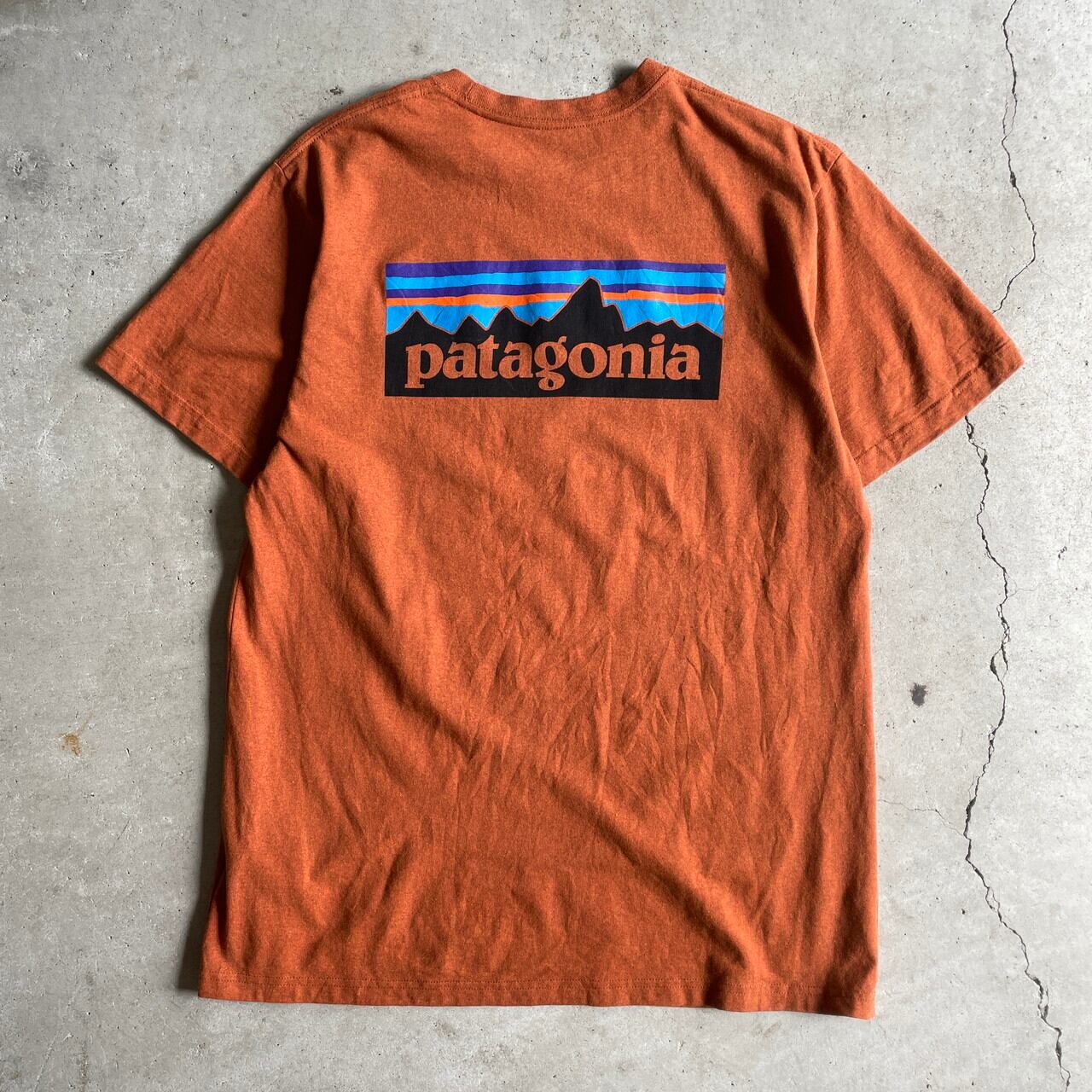 patagonia パタゴニア 胸ロゴ バックプリント Tシャツ メンズL 古着