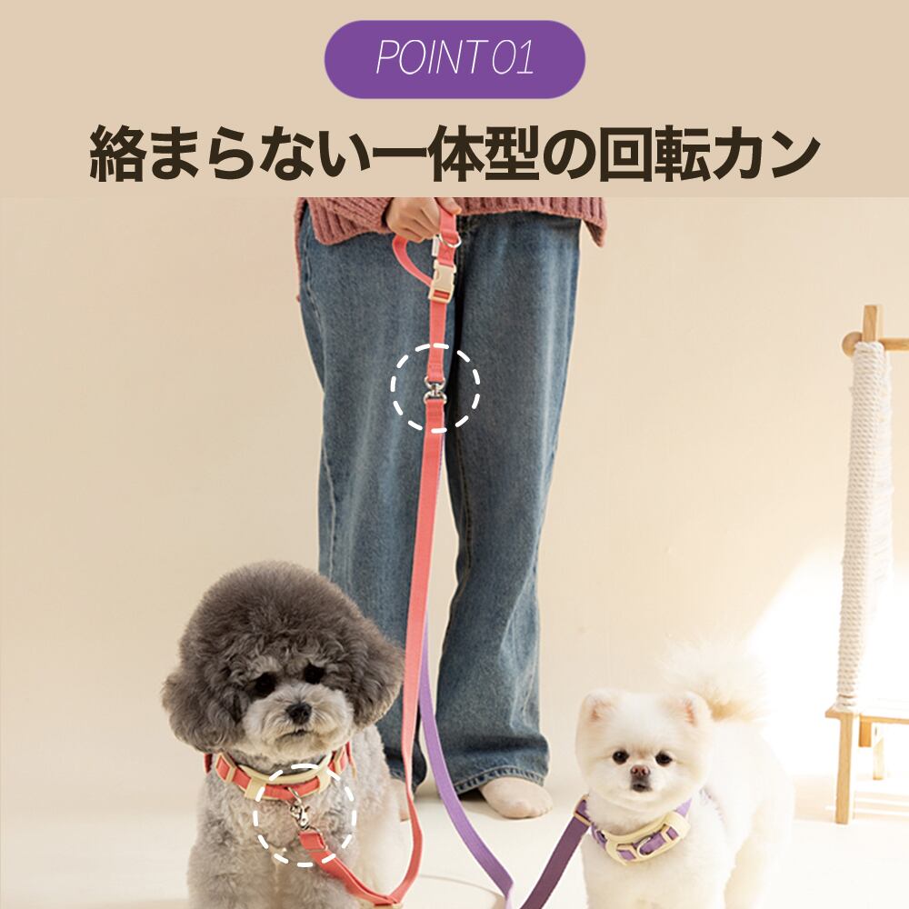 Double Leash ダブルリード | anpi