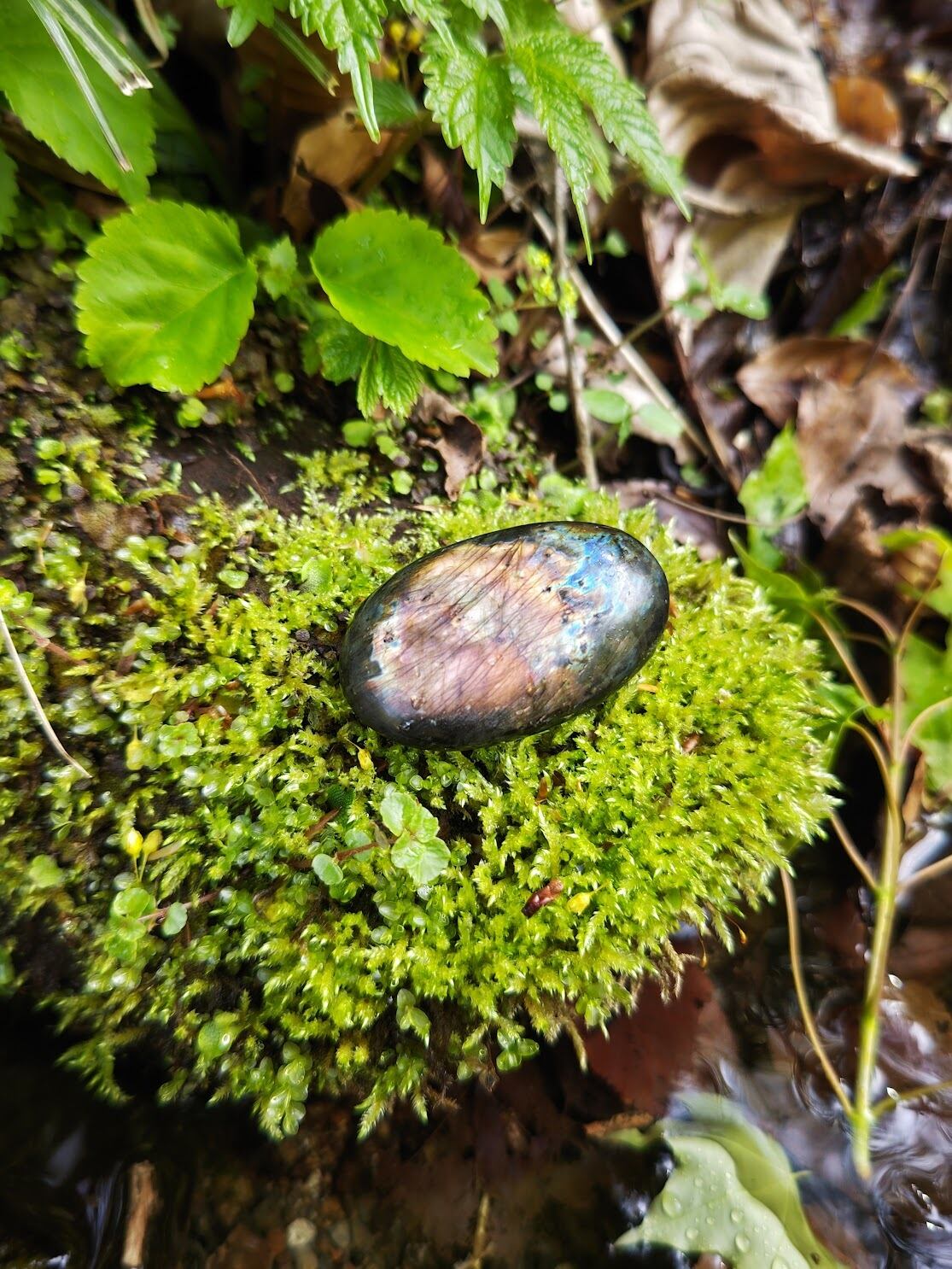 【ラブラドライト原石】「月と太陽の象徴」の石 ラブラドライト｜「月と太陽＝陰と陽」のエネルギーを持つ石 | 日賀