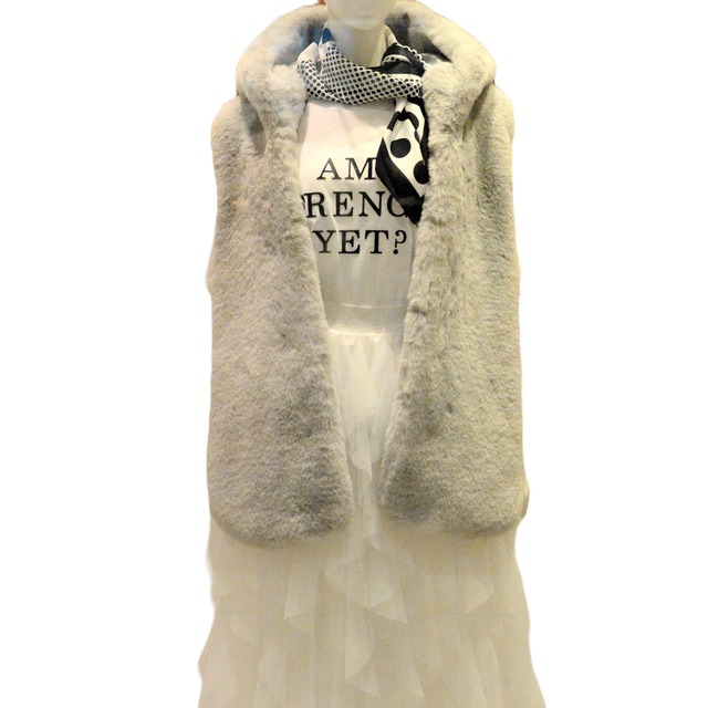 ファーフーディジレ