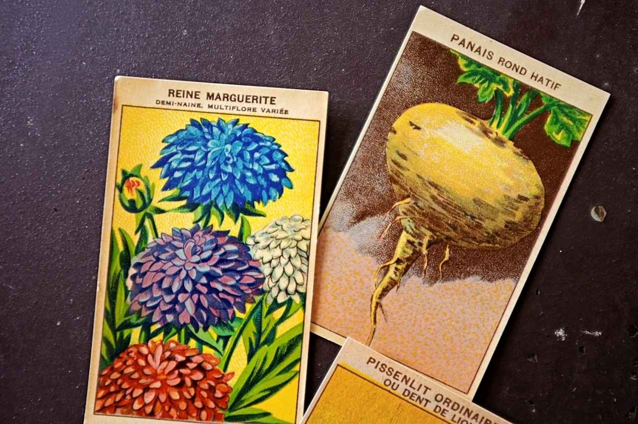 20s フランス 4set 膨満な花々と野菜たち 種子袋用ラベルz アンティーク