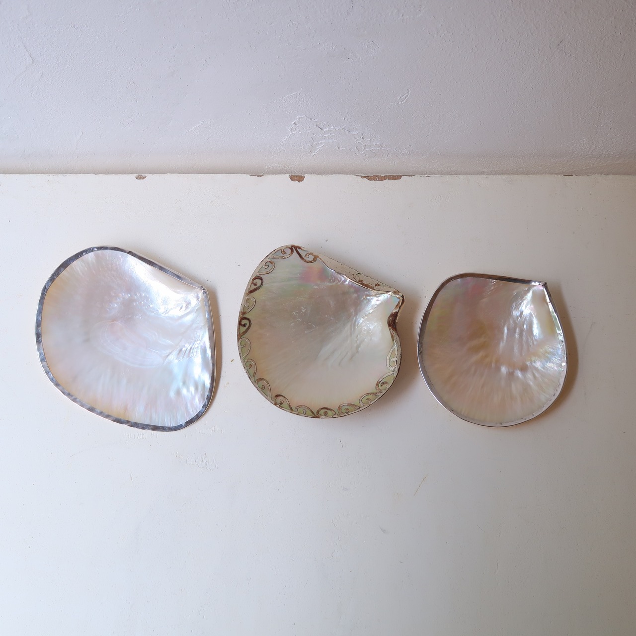 シルバーなふちのシェル