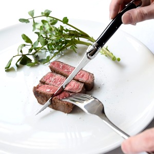 ジャンデュボ　ライヨール　スペシャリテナイフ