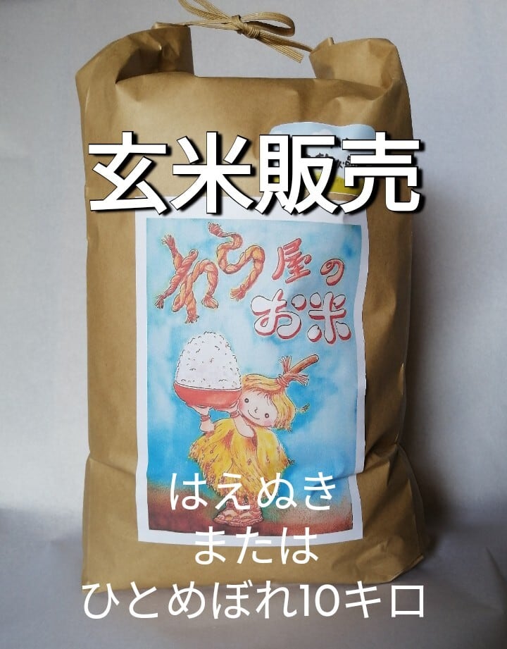 新米 特別栽培米はえぬき 天日乾燥米 10キロ 自然乾燥米 山形県