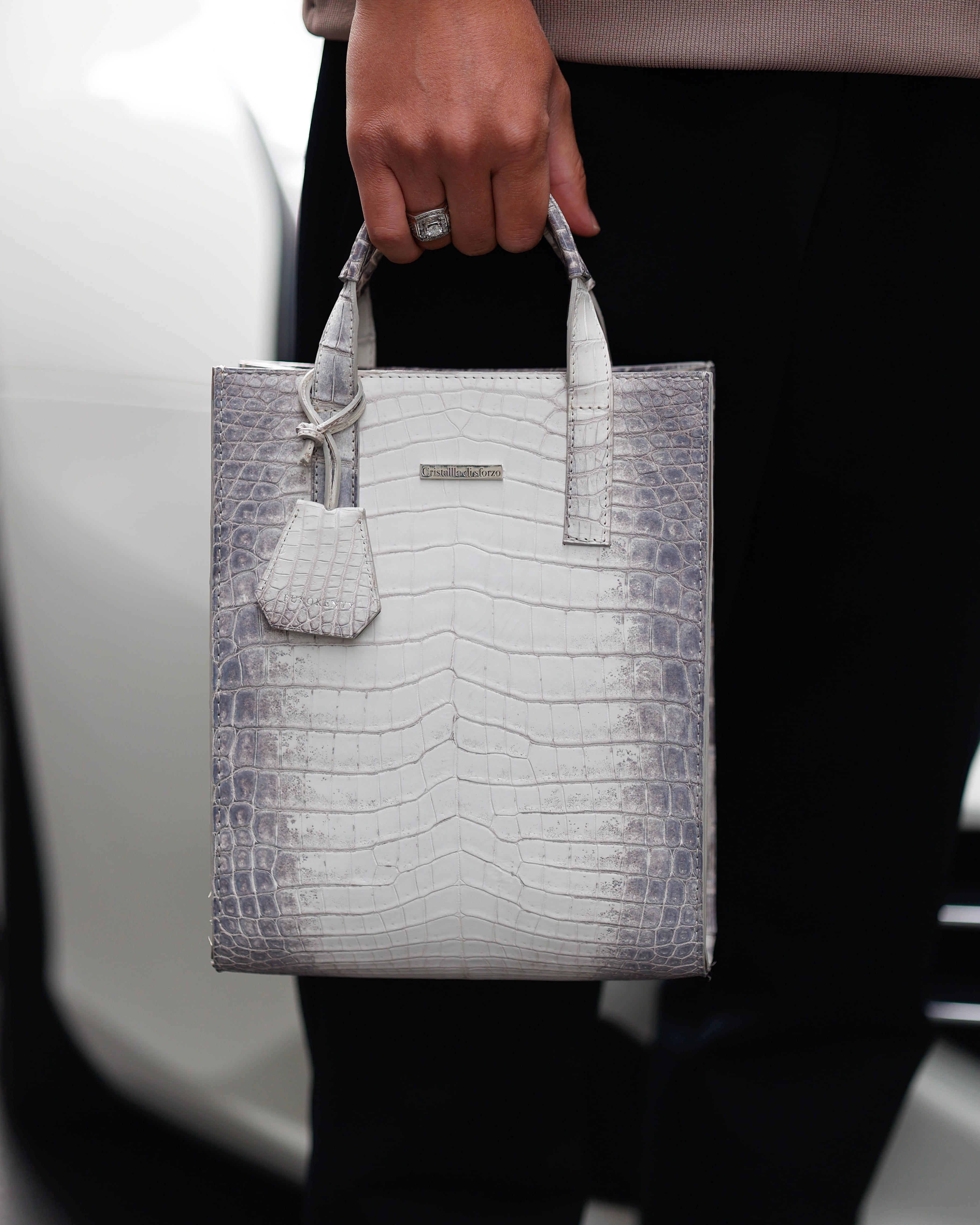 圧倒的高級感】Crocodile Porosus Mini Totebag【Himalaya