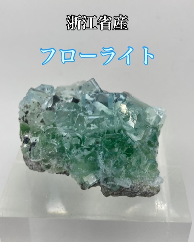 レインボー・シヴァ