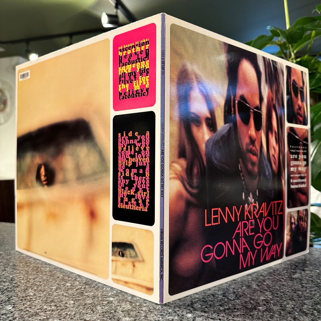 LP】LENNY KRAVITZ/Are You Gonna Go My Way | Pay ID