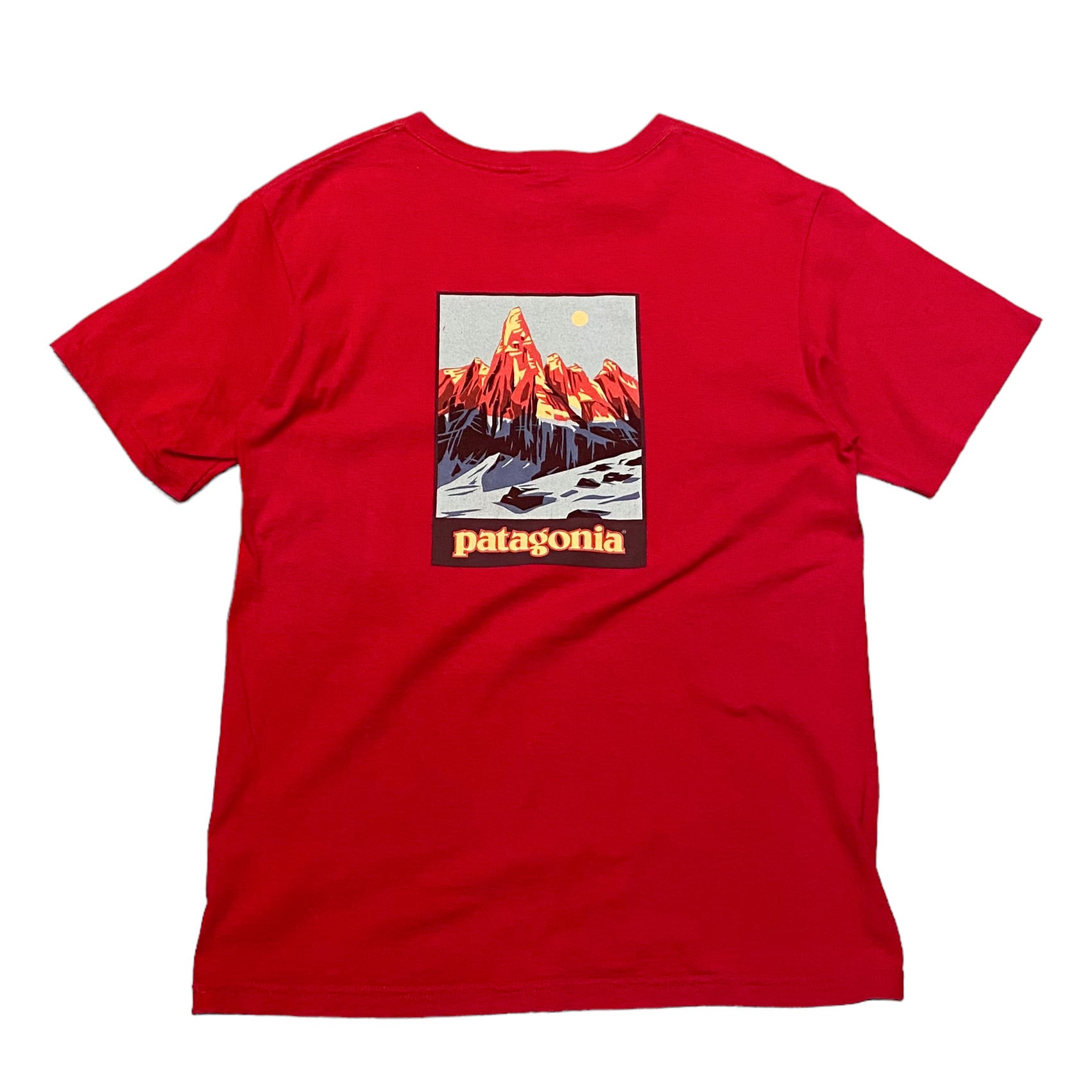 patagonia vintage organic cotton tee☆新品