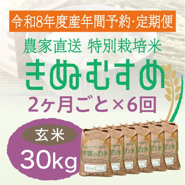 年間予約・定期便〉きぬむすめ 農家直売・特別栽培米 滋賀県産・近江米