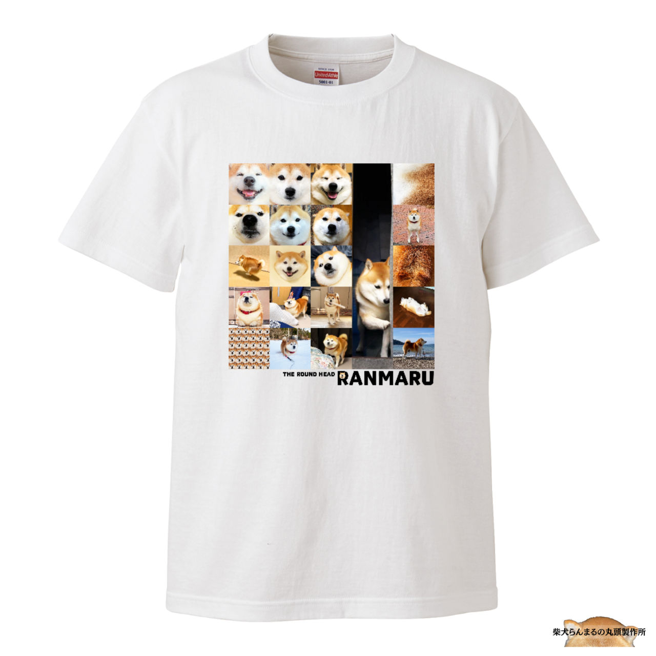 Tシャツ13：らんまるギャラリー：発送予定7月下旬以降 | 柴犬らんまる