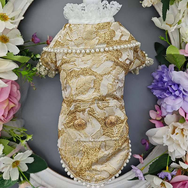 王宮のクラシックジャケット 00530