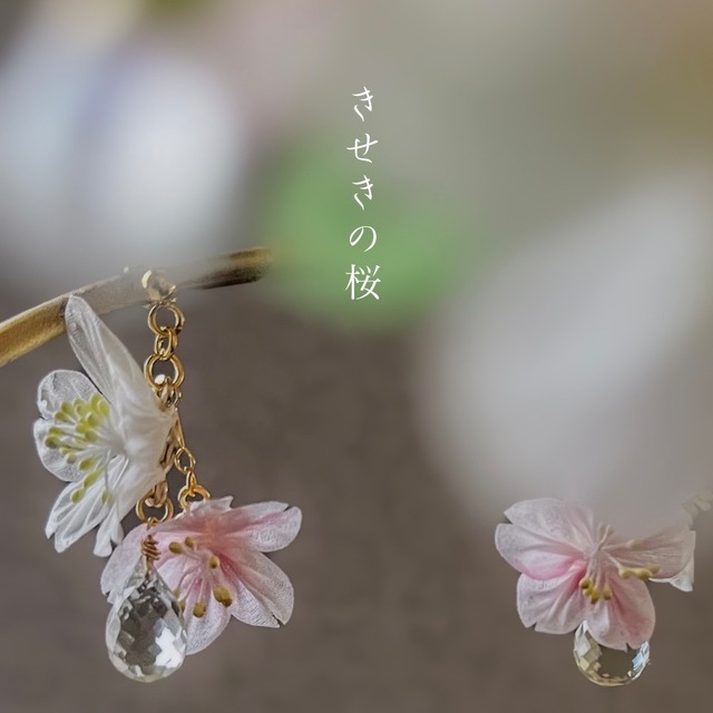 きせきの桜　 耳飾り