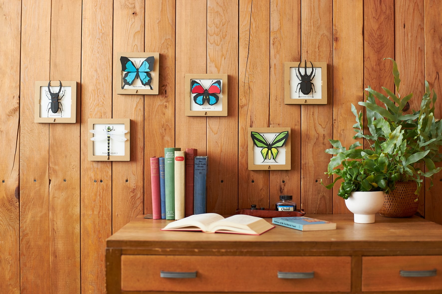 確認用ページその1。コーカサス ワールドペガサス Worldpegasus 硬式 グランドペガサス TOP