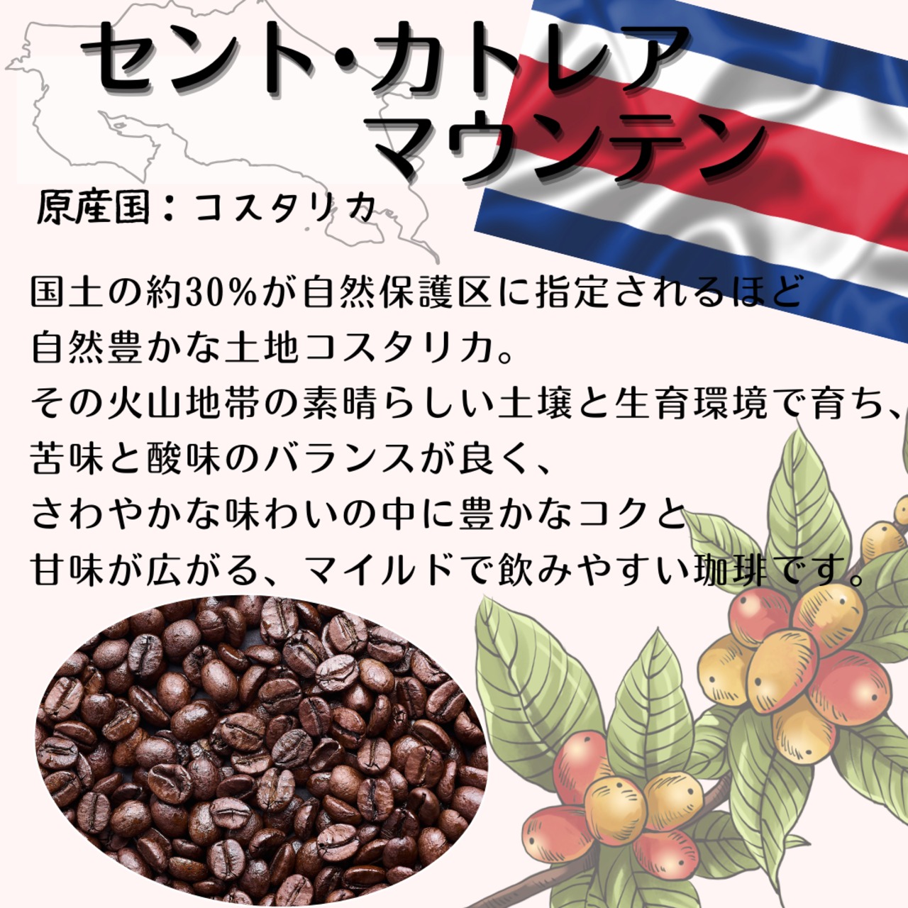 セント・カトレアマウンテン(コスタリカ)