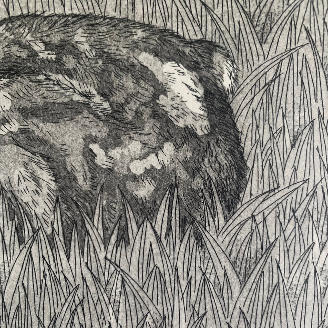銅版画シート 草原のうさぎ | ラリーキルト、トライバルラグ、キリム