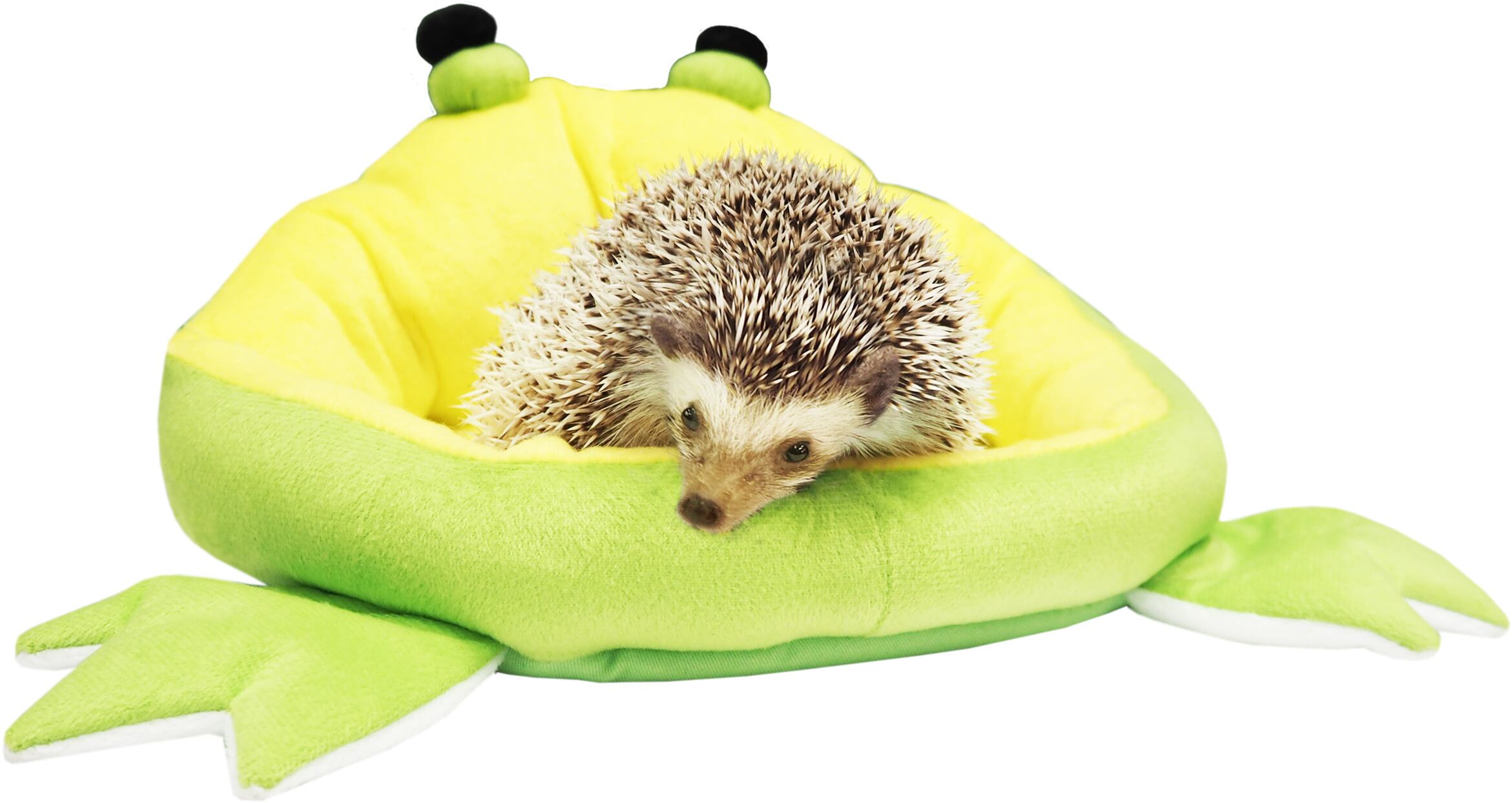 【小動物用品】みんなのベッド　カエル