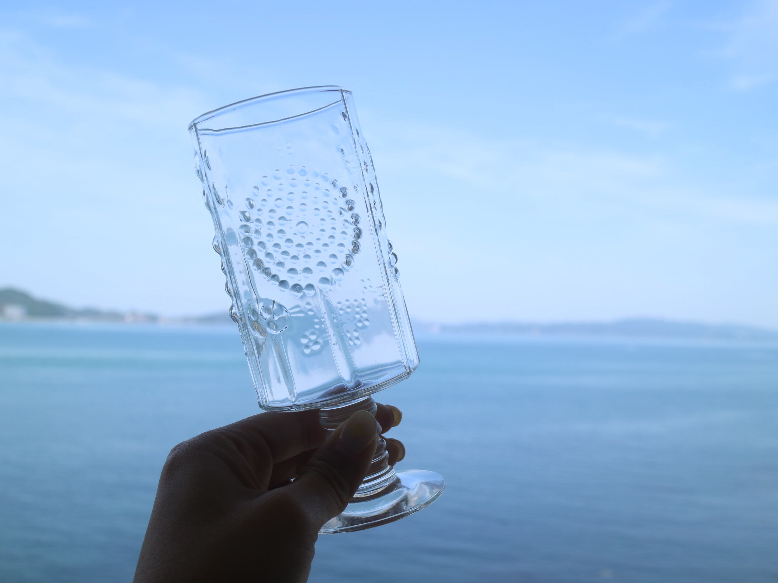 NUUTAJARVI/ARABIA Flora/フローラ クリア 24cm Nuutajarvi / Flora フローラ / クリア 脚付タンブラー No.5068