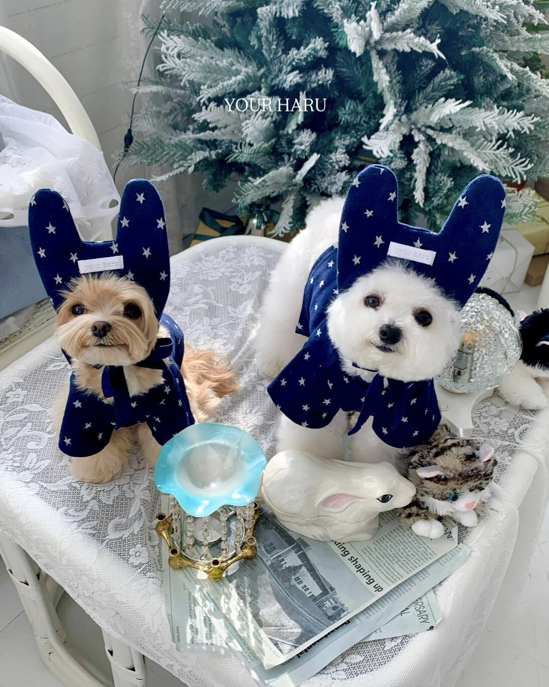 予約【yourharu】 Star Pixie TOP