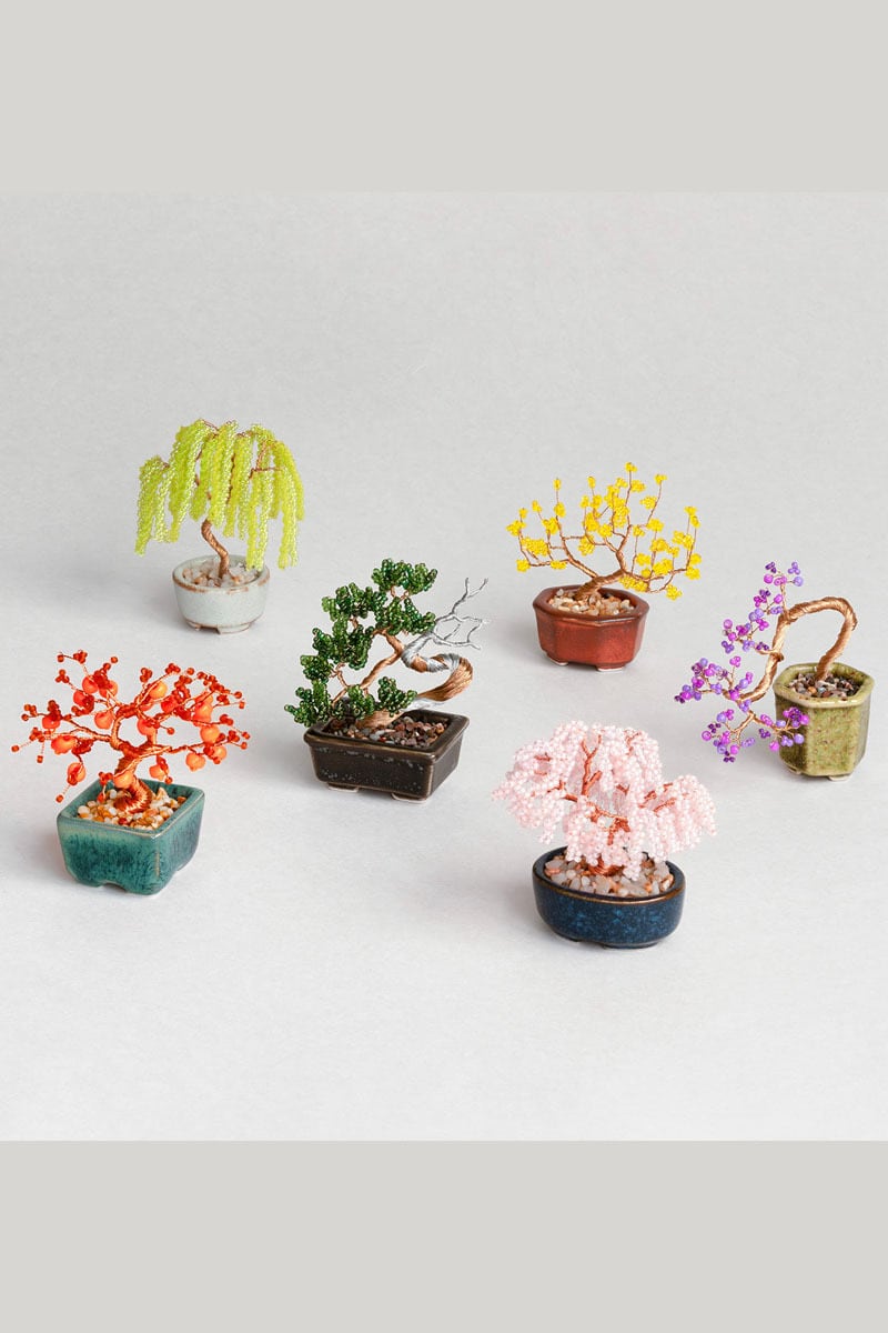 12 柿【nejitte盆栽】 | The Landscapers
