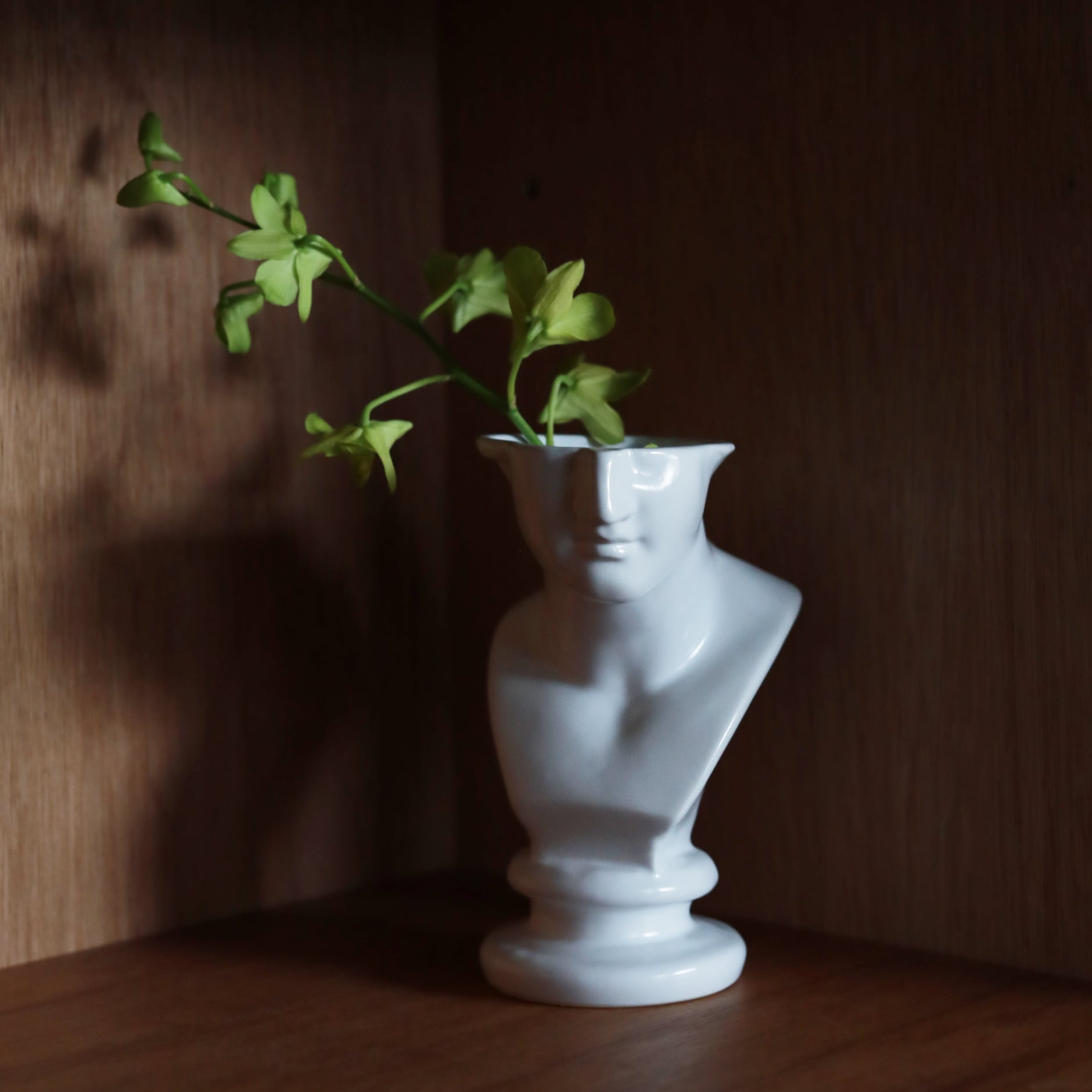 emeth VENUS touki (フラワーベース) | FREEPARK