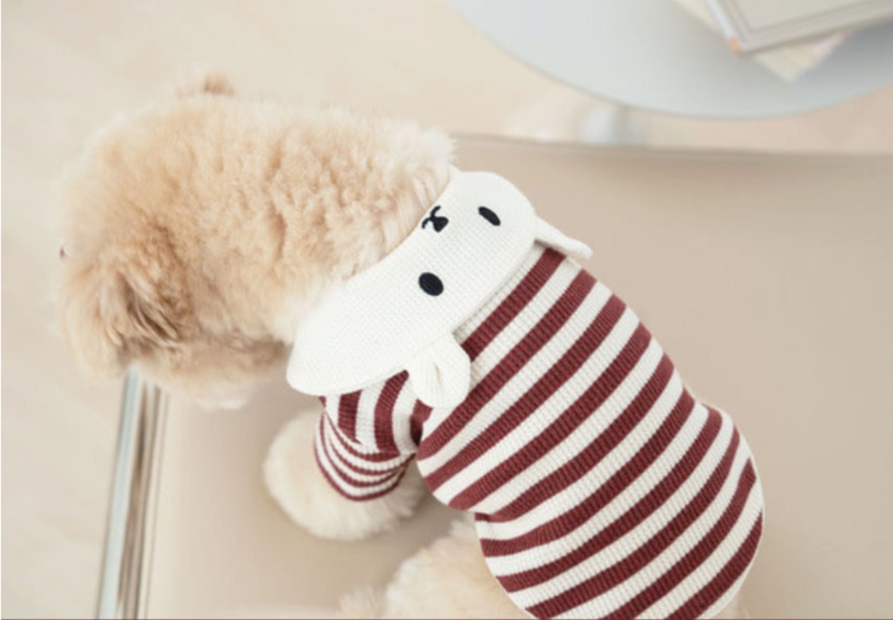 即納【Tio lio】ワッフルベアーカラーシャツ　ワインレッド