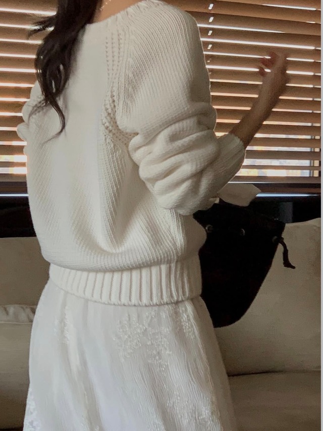 (予約) miel / Sheer skirt 1color