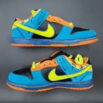 SB DUNK LOW SKATE OR DIE 304292-073